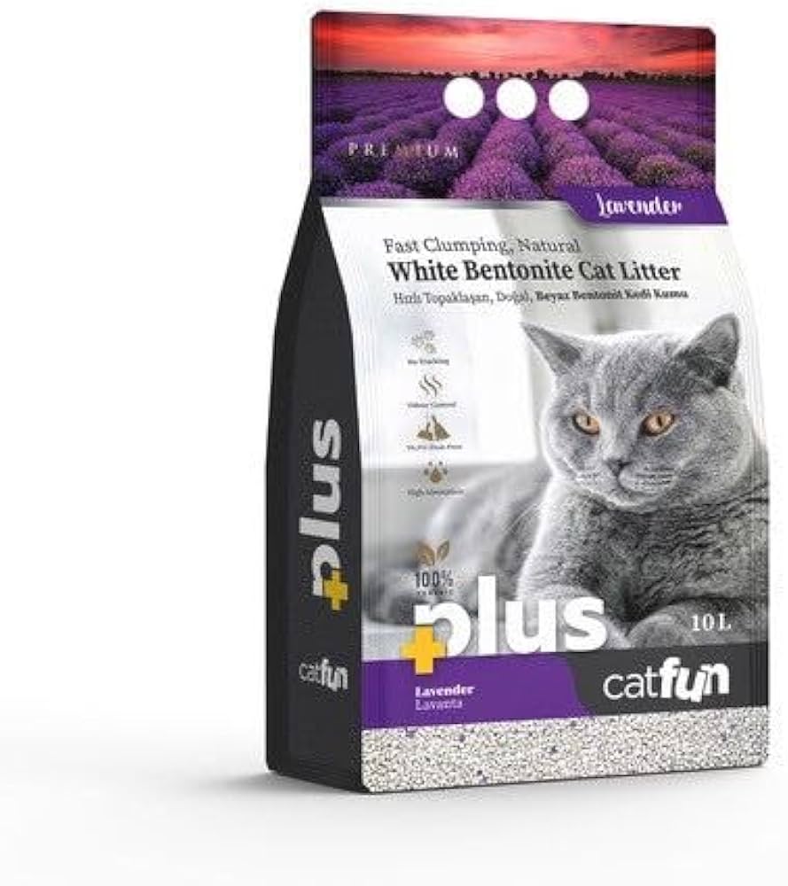 41ASTcEbMBL._AC_UF1000,1000_QL80_