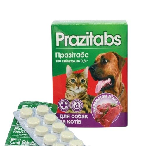 WhatsApp Image 2024-12-15 at 19.33.51_a7a3325a