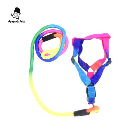 Rainbow Dog Harness & Leash Set