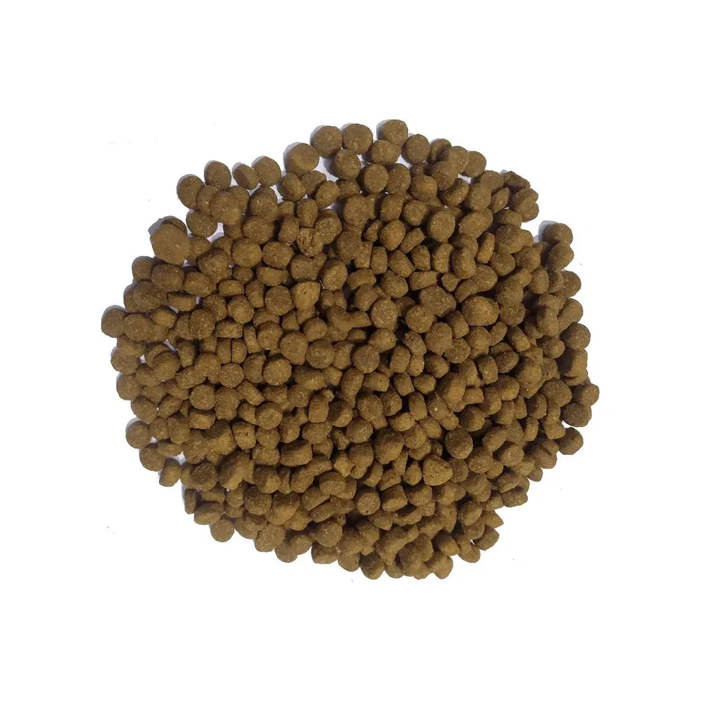 DOODZY Premium Dry Cat Food Bag – Chicken Flavor with No Color Additives DOODZY Premium Dry Cat Food Bag – Chicken Flavor with No Color Additives