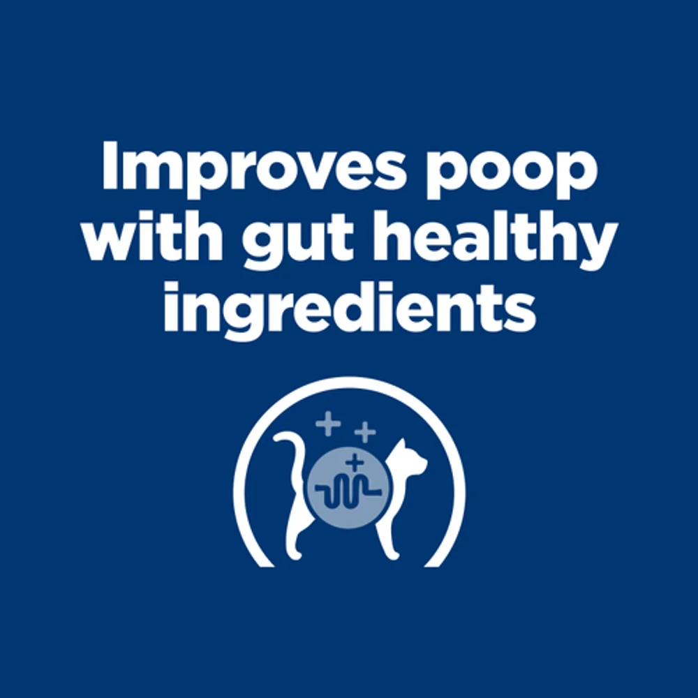 Hill's Prescription Diet z/d Hydrolyzed Chicken Flavor Dry Cat Food Bag Hill's Prescription Diet z/d Hydrolyzed Chicken Flavor Dry Cat Food Bag