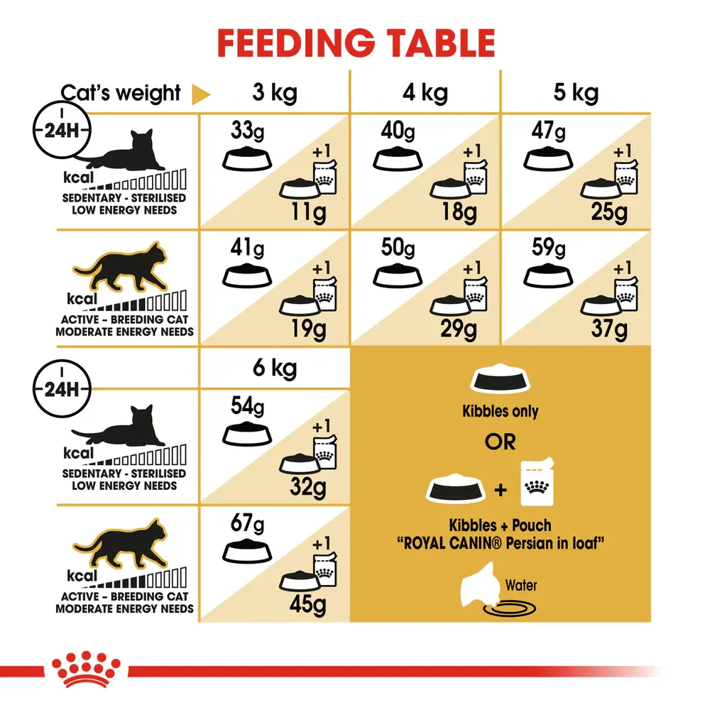 Royal Canin Persian Adult Dry Cat Food Bag - Specialized Breed Nutrition Royal Canin Persian Adult Dry Cat Food Bag - Specialized Breed Nutrition