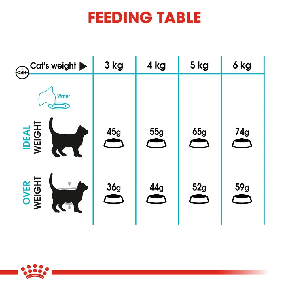 Royal Canin Urinary Care dry cat food bag showing kibble designed for mineral balance and urinary tract maintenance in healthy cats. Royal Canin Urinary Care dry cat food bag showing kibble designed for mineral balance and urinary tract maintenance in healthy cats.