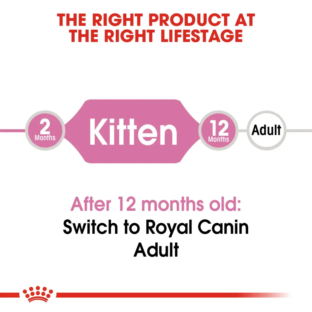 Royal Canin Kitten dry food bag showing small, easy-to-chew kibble for kittens aged 4 to 12 months. Royal Canin Kitten dry food bag showing small, easy-to-chew kibble for kittens aged 4 to 12 months.