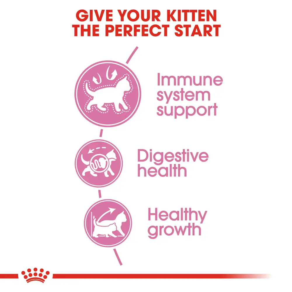 Royal Canin Kitten dry food bag showing small, easy-to-chew kibble for kittens aged 4 to 12 months. Royal Canin Kitten dry food bag showing small, easy-to-chew kibble for kittens aged 4 to 12 months.