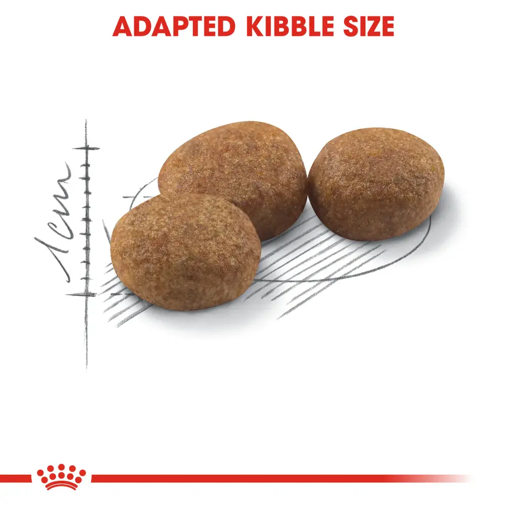 Royal Canin Sterilised 37 2kg bag for neutered adult cats featuring kibble for weight management and urinary health. Royal Canin Sterilised 37 2kg bag for neutered adult cats featuring kibble for weight management and urinary health.