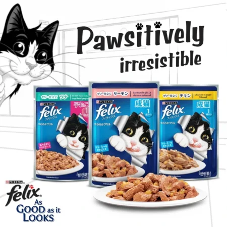 FELIX in Jelly Wet Cat Food – Complete Meal (85g Pouch)
