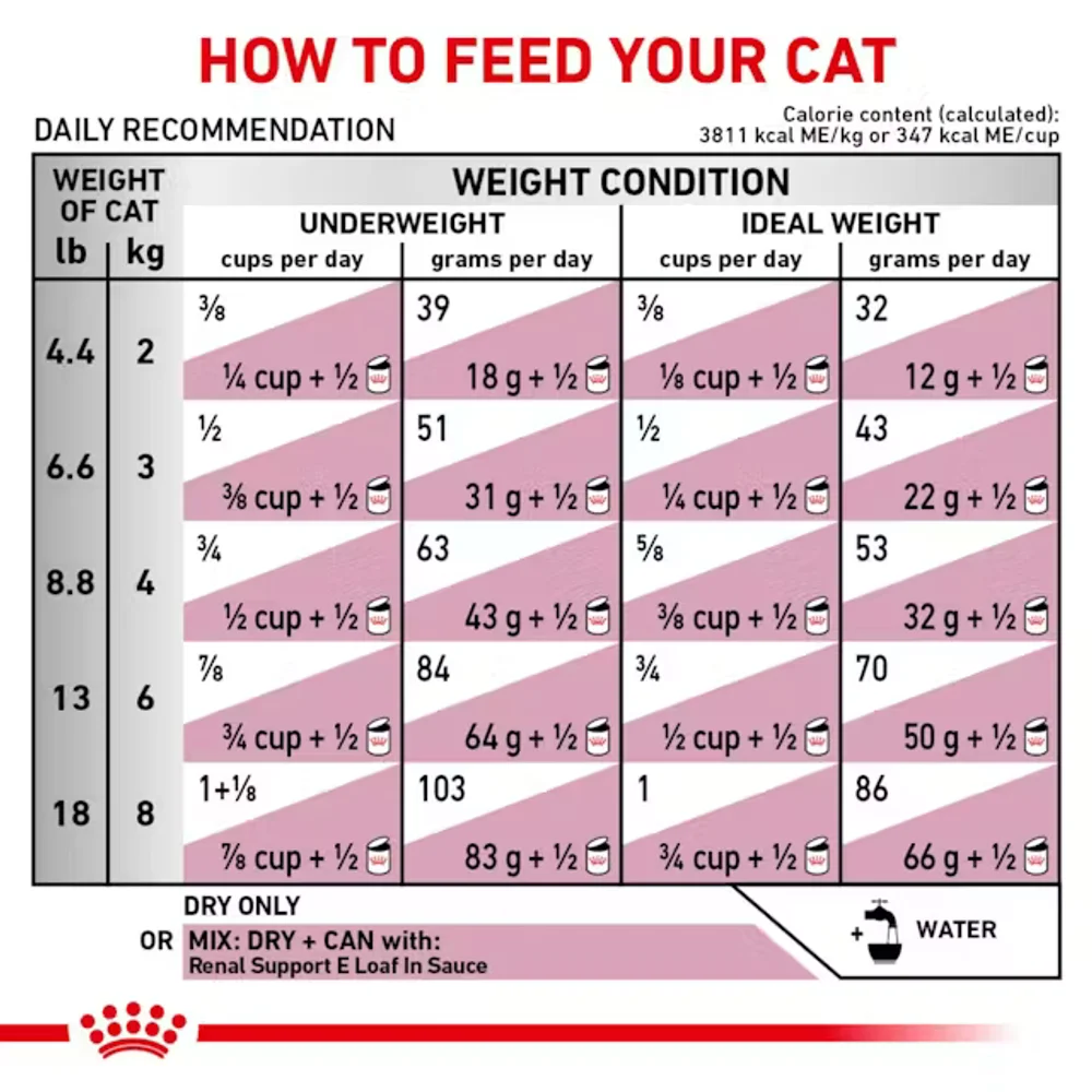 Royal Canin Renal Support A dry cat food bag with round kibble for appetite stimulation in cats with kidney disease. Royal Canin Renal Support A dry cat food bag with round kibble for appetite stimulation in cats with kidney disease.