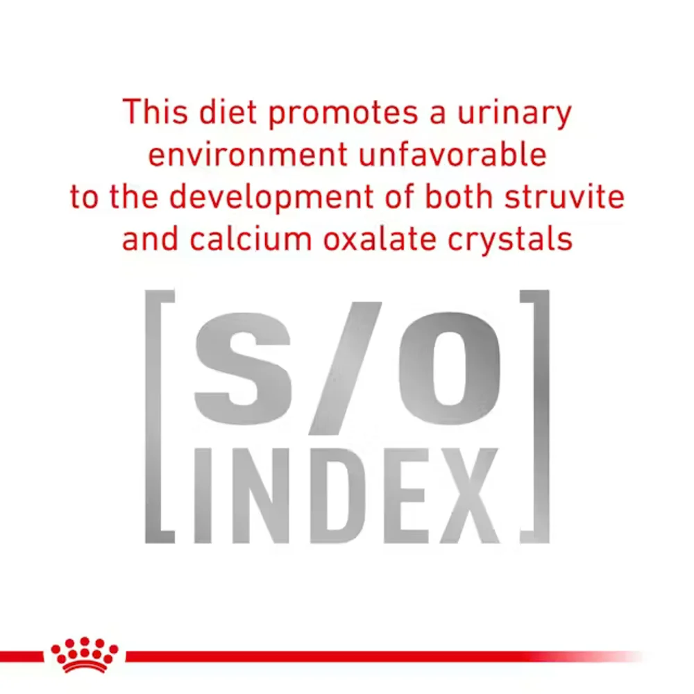 Royal Canin Feline Urinary SO dry cat food bag for struvite stone dissolution and calcium oxalate prevention. Royal Canin Feline Urinary SO dry cat food bag for struvite stone dissolution and calcium oxalate prevention.