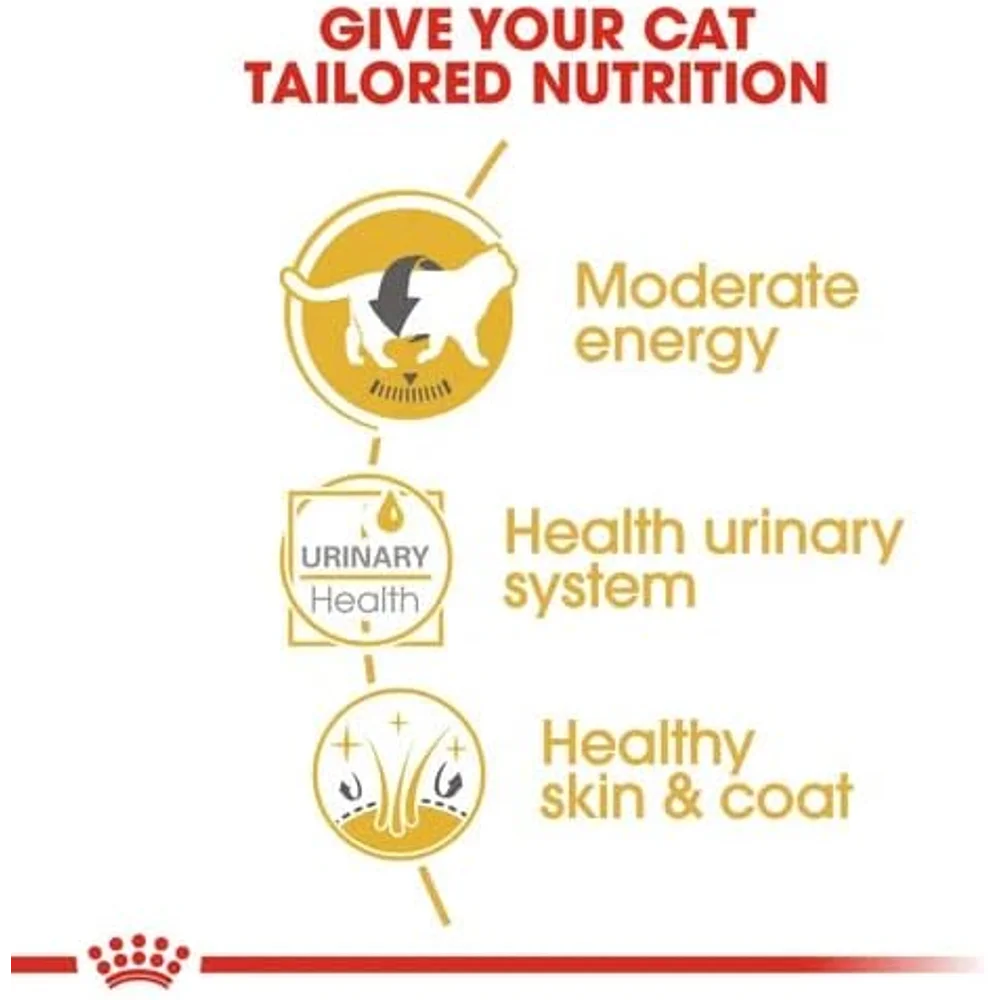 Royal Canin British Shorthair wet cat food pouch featuring thin slices in gravy, tailored for the muscular body of British Shorthair cats. Royal Canin British Shorthair wet cat food pouch featuring thin slices in gravy, tailored for the muscular body of British Shorthair cats.
