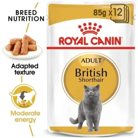 Royal Canin British Shorthair wet cat food pouch featuring thin slices in gravy, tailored for the muscular body of British Shorthair cats.