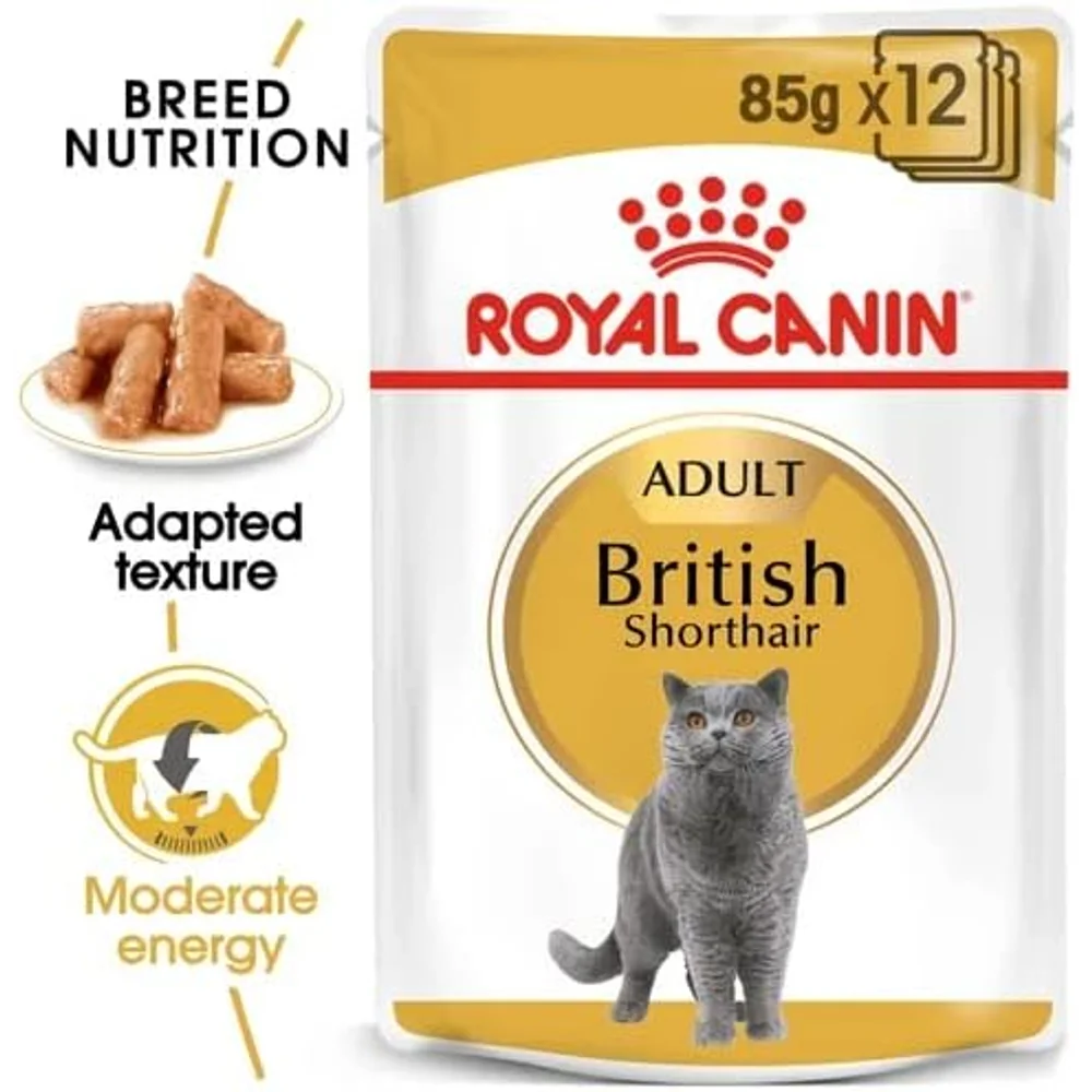 Royal Canin British Shorthair wet cat food pouch featuring thin slices in gravy, tailored for the muscular body of British Shorthair cats. Royal Canin British Shorthair wet cat food pouch featuring thin slices in gravy, tailored for the muscular body of British Shorthair cats.