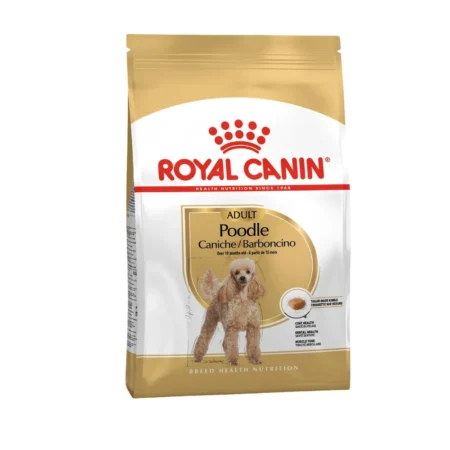Royal Canin Poodle Adult dry dog food bag for purebred Poodles 10 months and older, showing specialized kibble for straight muzzles.