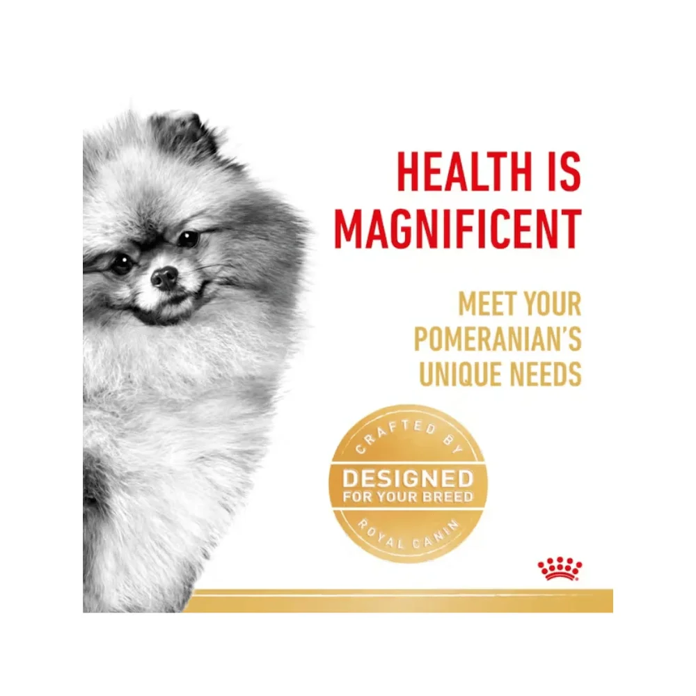 Royal Canin Pomeranian Adult 1.5kg bag featuring specialized kibble for tiny jaws and a fluffy double coat. Royal Canin Pomeranian Adult 1.5kg bag featuring specialized kibble for tiny jaws and a fluffy double coat.