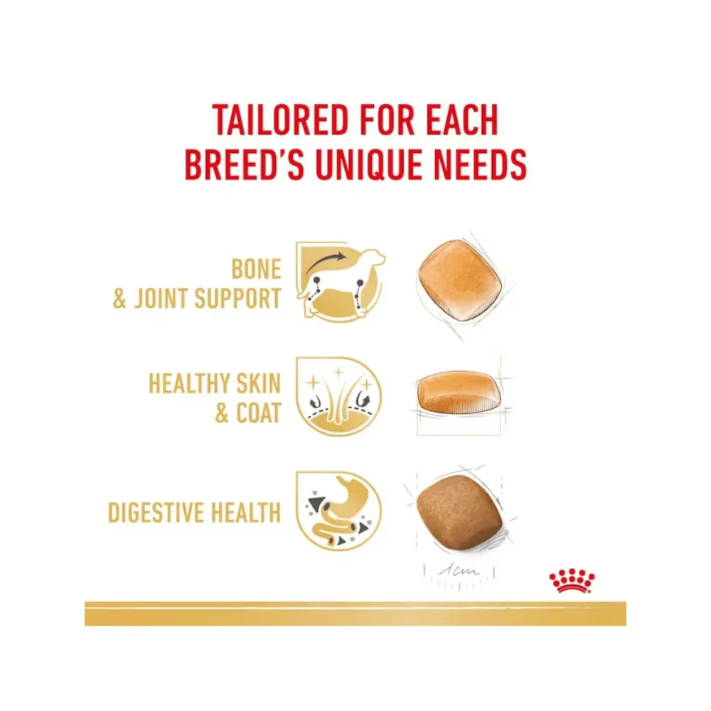 Royal Canin Pomeranian Adult 1.5kg bag featuring specialized kibble for tiny jaws and a fluffy double coat. Royal Canin Pomeranian Adult 1.5kg bag featuring specialized kibble for tiny jaws and a fluffy double coat.