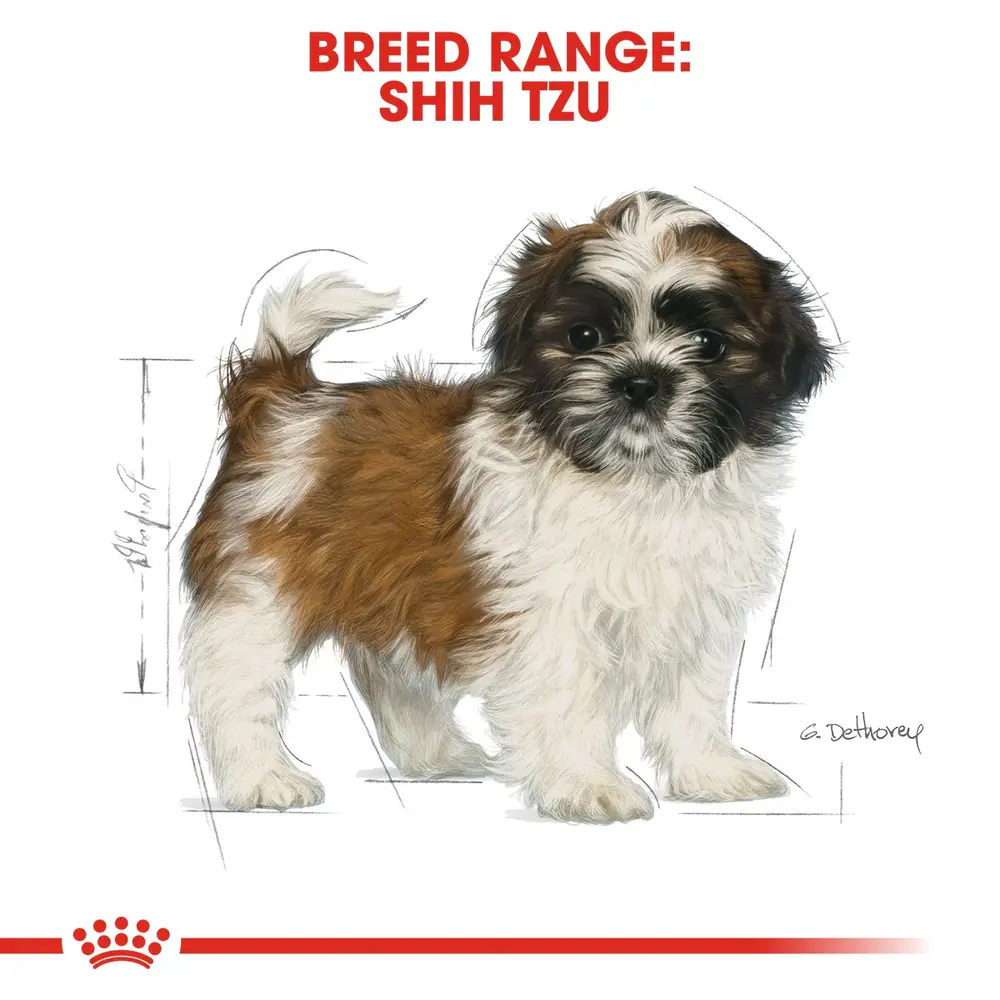 Royal Canin Shih Tzu Puppy dry dog food bag featuring tiny, curved kibble for puppies with underbites and short muzzles. Royal Canin Shih Tzu Puppy dry dog food bag featuring tiny, curved kibble for puppies with underbites and short muzzles.