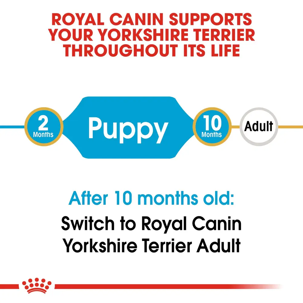 Royal Canin Yorkshire Terrier Puppy dry dog food bag showing specialized kibble for Yorkie puppies 8 weeks to 10 months old. Royal Canin Yorkshire Terrier Puppy dry dog food bag showing specialized kibble for Yorkie puppies 8 weeks to 10 months old.