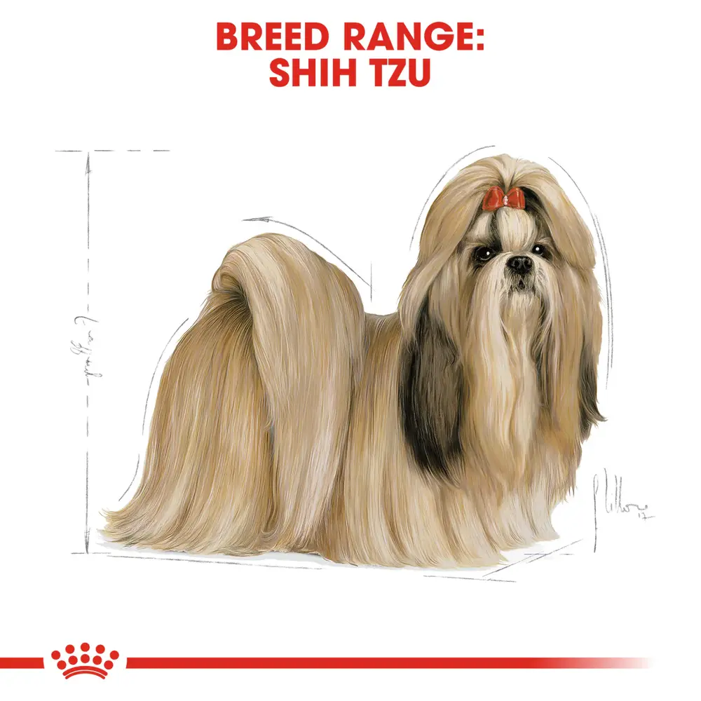 Royal Canin Shih Tzu Adult dry dog food bag featuring specialized kibble for brachycephalic jaws and long coat support. Royal Canin Shih Tzu Adult dry dog food bag featuring specialized kibble for brachycephalic jaws and long coat support.