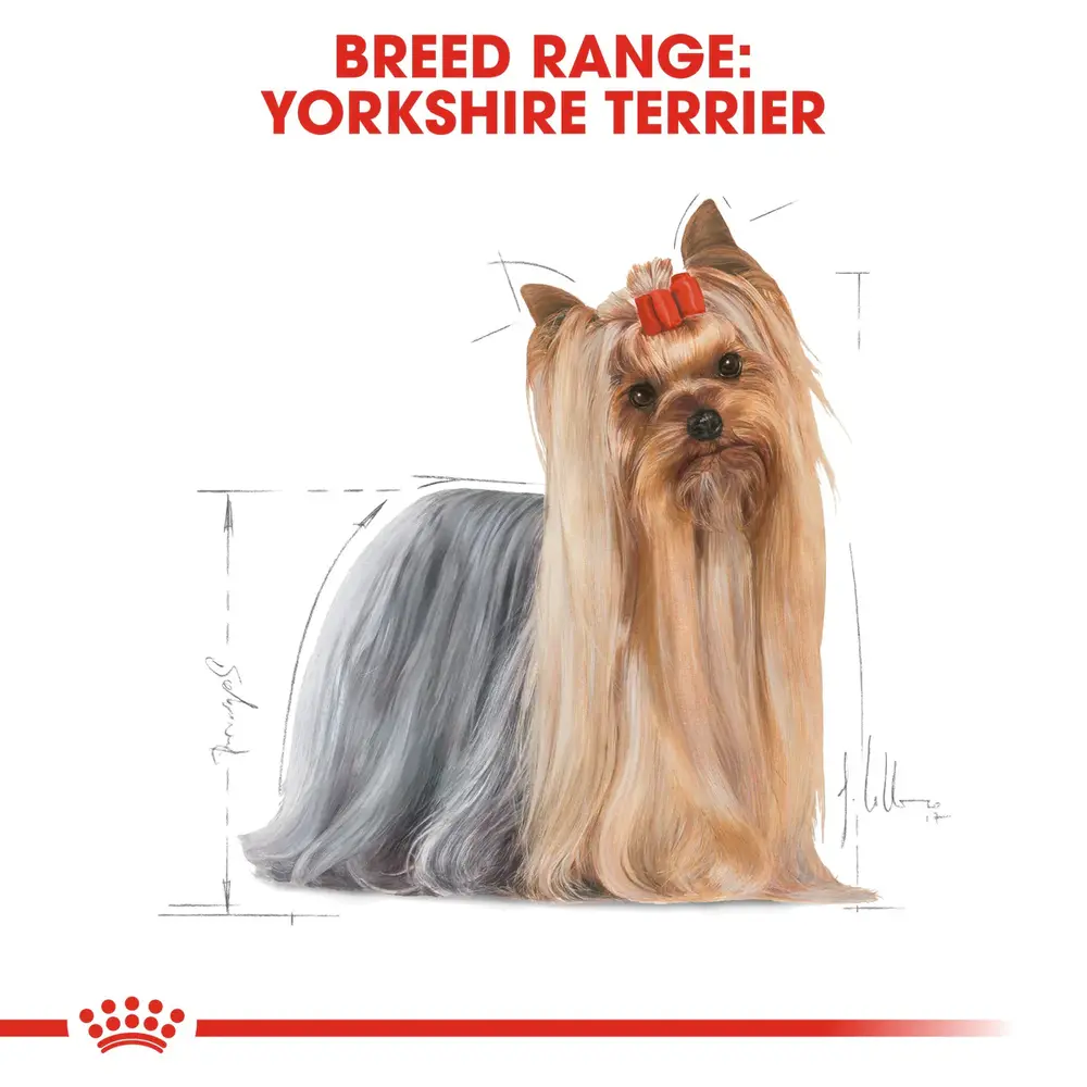 Royal Canin Yorkshire Terrier wet dog food pouch, featuring thin slices in gravy tailored for adult Yorkies. Royal Canin Yorkshire Terrier wet dog food pouch, featuring thin slices in gravy tailored for adult Yorkies.
