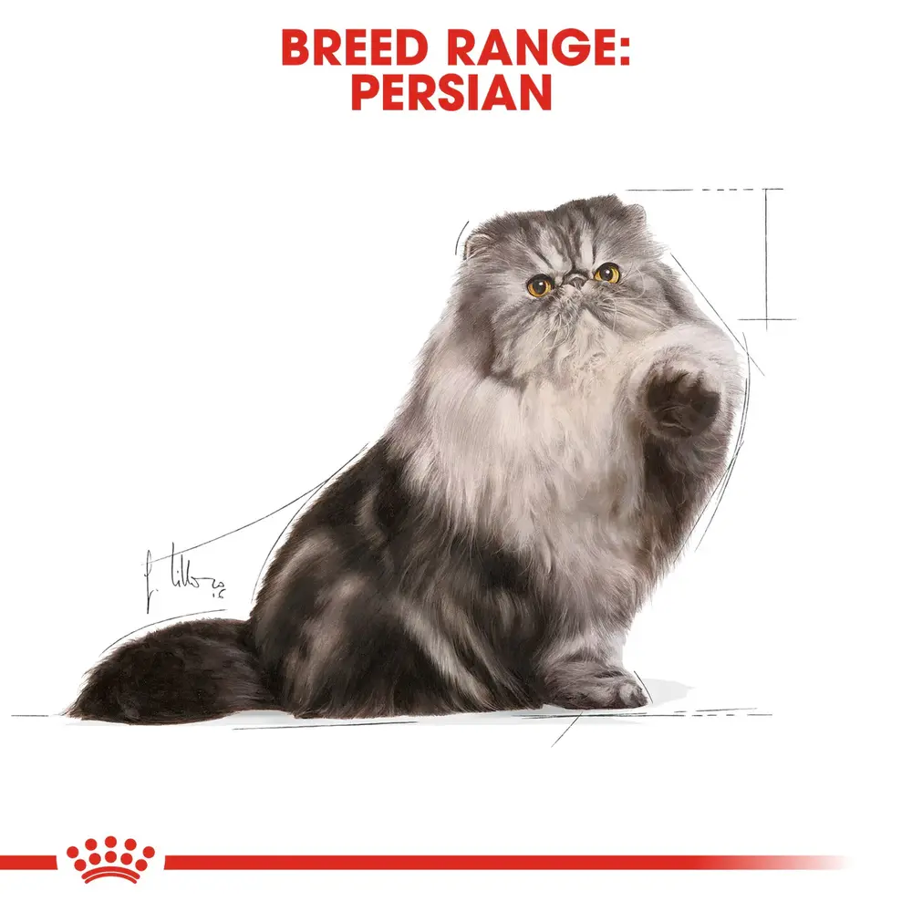 Royal Canin Persian Adult wet food pouch featuring a soft loaf texture designed for the flat faces of Persian cats. Royal Canin Persian Adult wet food pouch featuring a soft loaf texture designed for the flat faces of Persian cats.