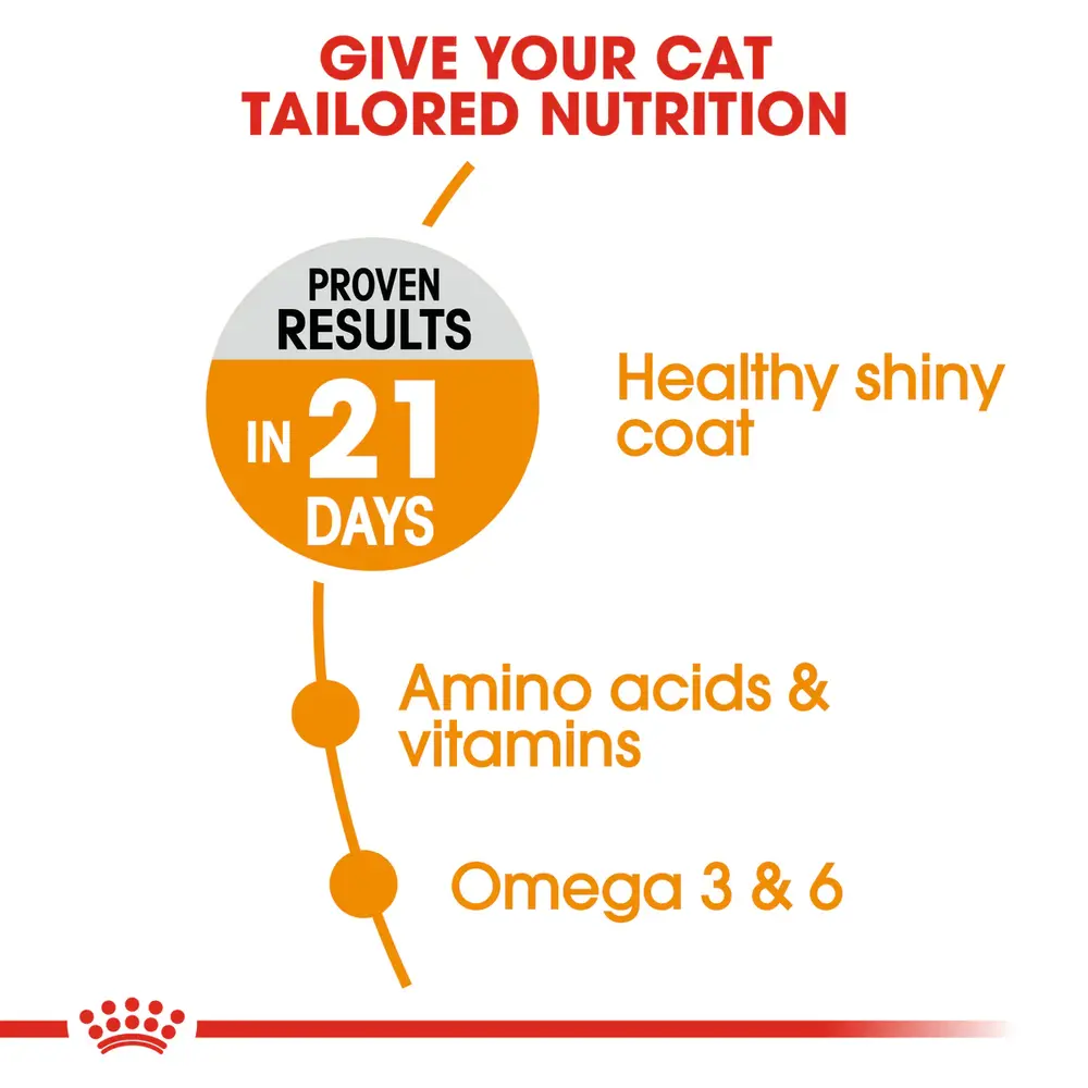Royal Canin Hair & Skin Care dry cat food bag showing high-protein kibble for healthy skin and shiny coat. Royal Canin Hair & Skin Care dry cat food bag showing high-protein kibble for healthy skin and shiny coat.
