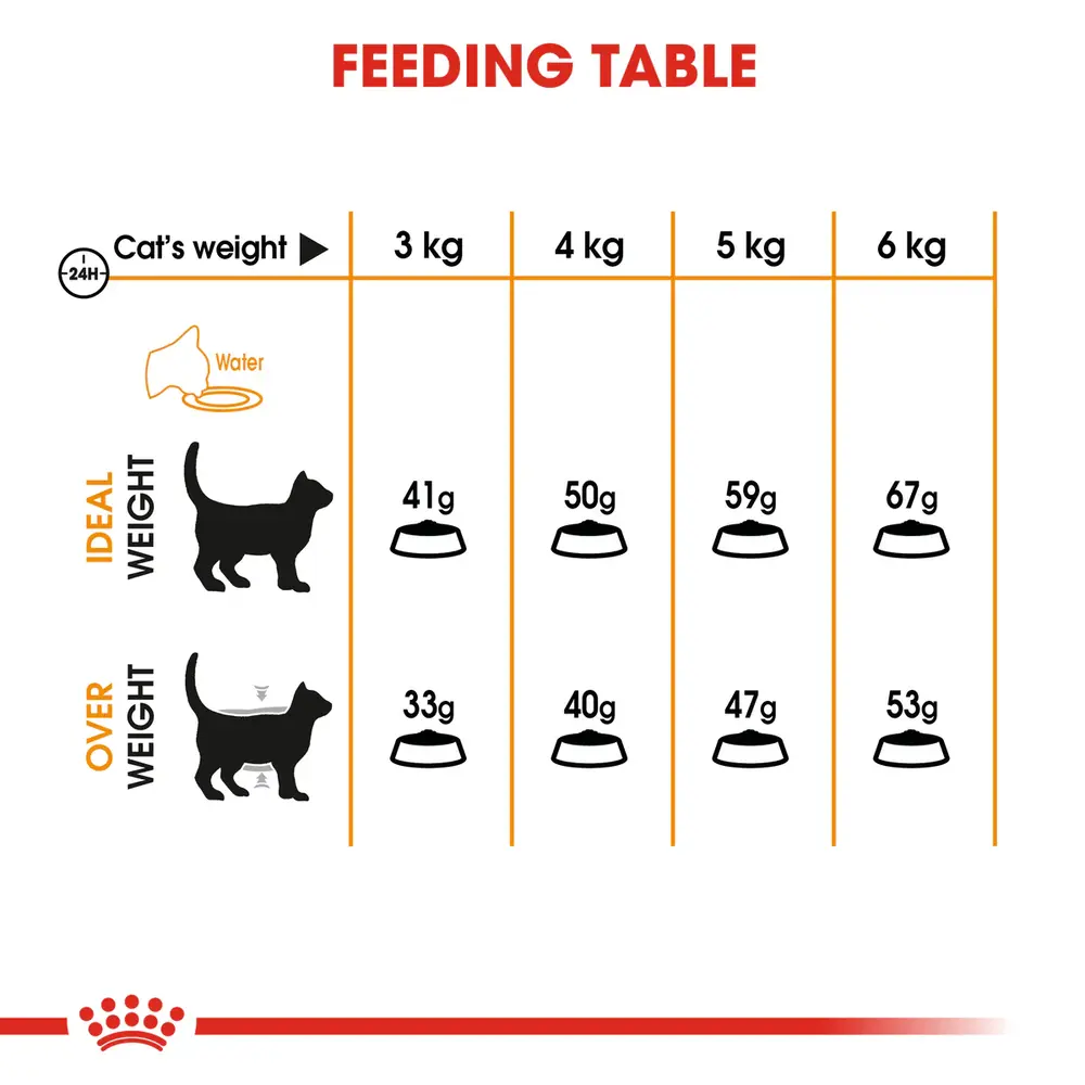 Royal Canin Hair & Skin Care dry cat food bag showing high-protein kibble for healthy skin and shiny coat. Royal Canin Hair & Skin Care dry cat food bag showing high-protein kibble for healthy skin and shiny coat.