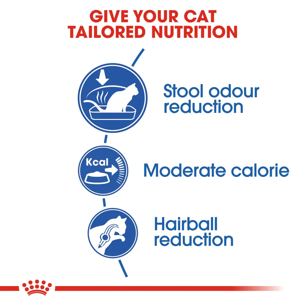 Royal Canin Indoor Adult dry cat food bag for indoor cats aged 1-7 years featuring kibble for stool odor reduction and hairball management. Royal Canin Indoor Adult dry cat food bag for indoor cats aged 1-7 years featuring kibble for stool odor reduction and hairball management.