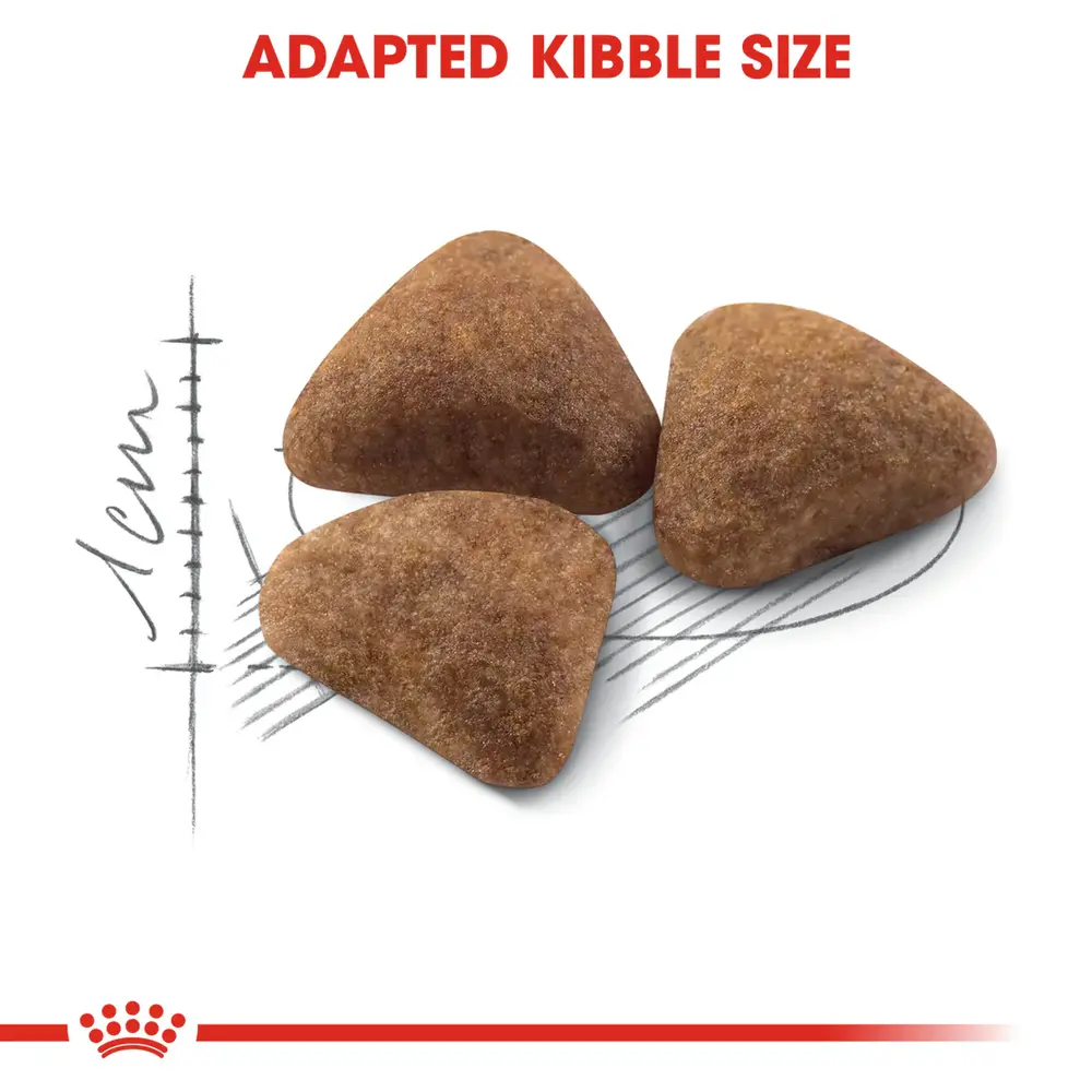 Royal Canin Indoor Adult dry cat food bag for indoor cats aged 1-7 years featuring kibble for stool odor reduction and hairball management. Royal Canin Indoor Adult dry cat food bag for indoor cats aged 1-7 years featuring kibble for stool odor reduction and hairball management.