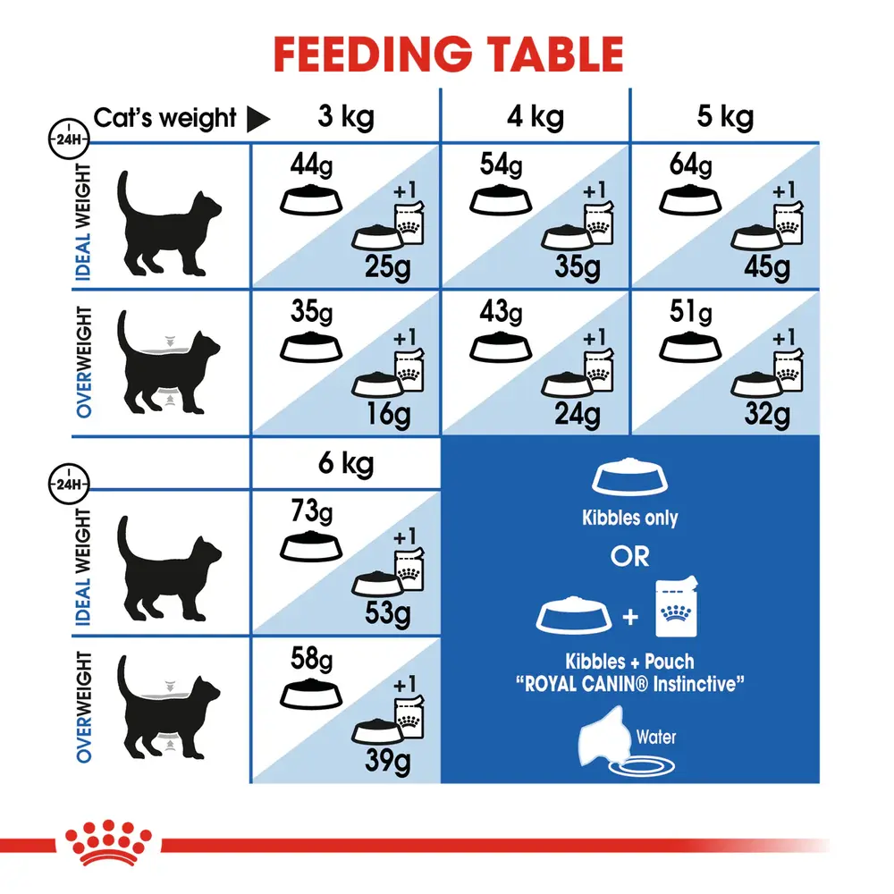 Royal Canin Indoor Adult dry cat food bag for indoor cats aged 1-7 years featuring kibble for stool odor reduction and hairball management. Royal Canin Indoor Adult dry cat food bag for indoor cats aged 1-7 years featuring kibble for stool odor reduction and hairball management.