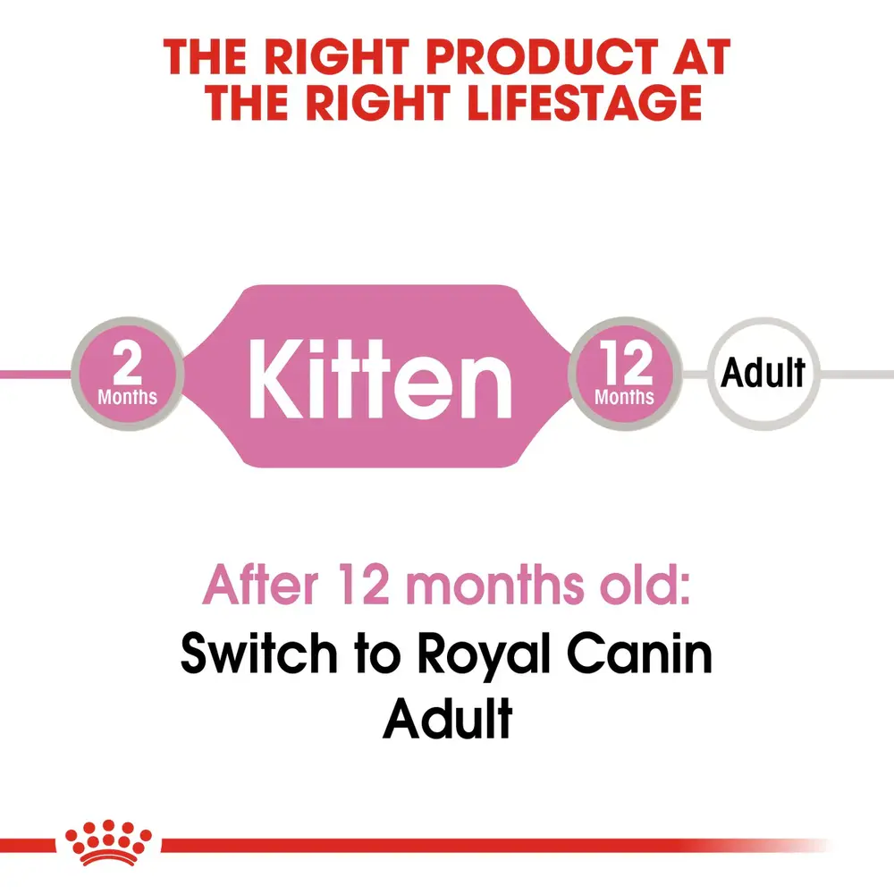 Royal Canin Kitten in Jelly wet food pouch showing thin slices in a clear, firm jelly for kittens up to 12 months. Royal Canin Kitten in Jelly wet food pouch showing thin slices in a clear, firm jelly for kittens up to 12 months.