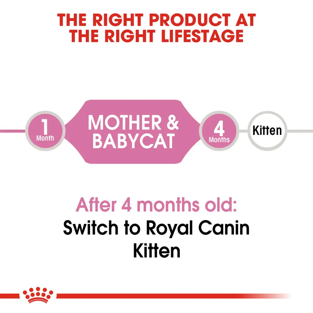 Royal Canin Mother & Babycat dry food bag for pregnant cats and kittens 1-4 months, showing tiny rehydratable kibble. Royal Canin Mother & Babycat dry food bag for pregnant cats and kittens 1-4 months, showing tiny rehydratable kibble.
