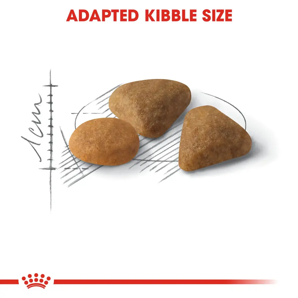 Royal Canin Savour Exigent dry cat food showing two different types of synergistic kibble for picky adult cats. Royal Canin Savour Exigent dry cat food showing two different types of synergistic kibble for picky adult cats.