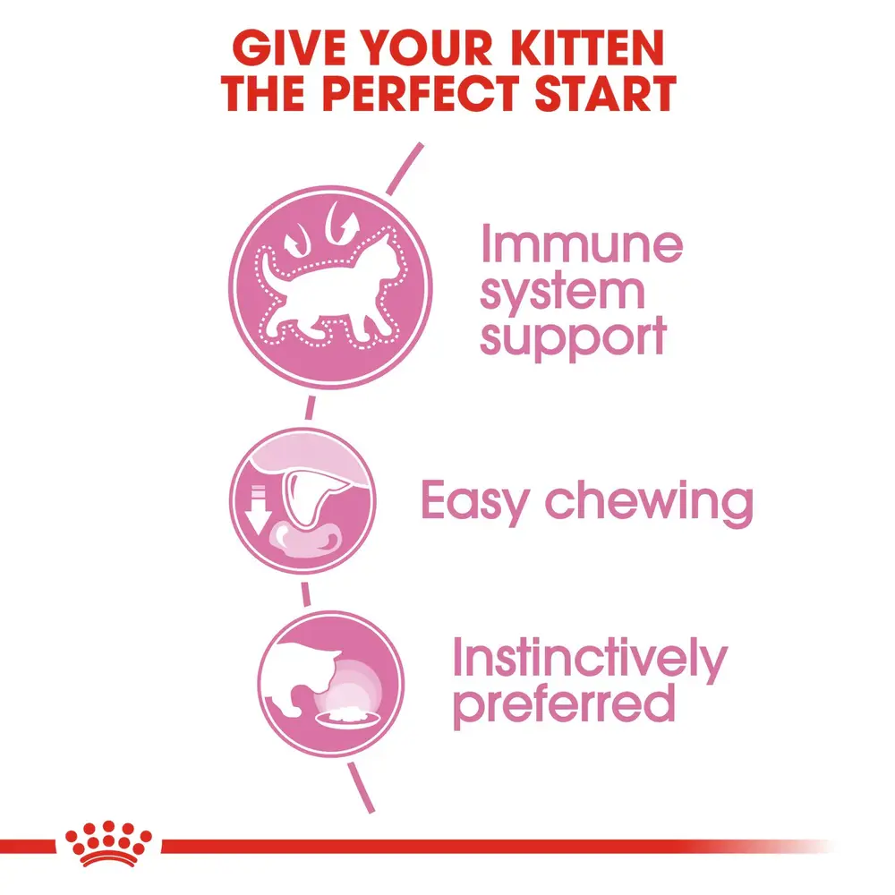 Royal Canin Kitten in Jelly wet food pouch showing thin slices in a clear, firm jelly for kittens up to 12 months. Royal Canin Kitten in Jelly wet food pouch showing thin slices in a clear, firm jelly for kittens up to 12 months.