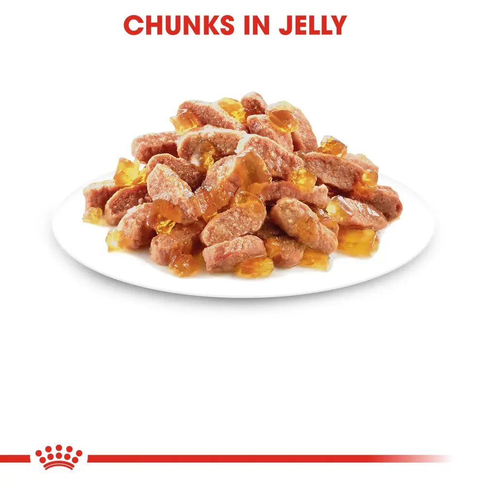 Royal Canin Kitten in Jelly wet food pouch showing thin slices in a clear, firm jelly for kittens up to 12 months. Royal Canin Kitten in Jelly wet food pouch showing thin slices in a clear, firm jelly for kittens up to 12 months.
