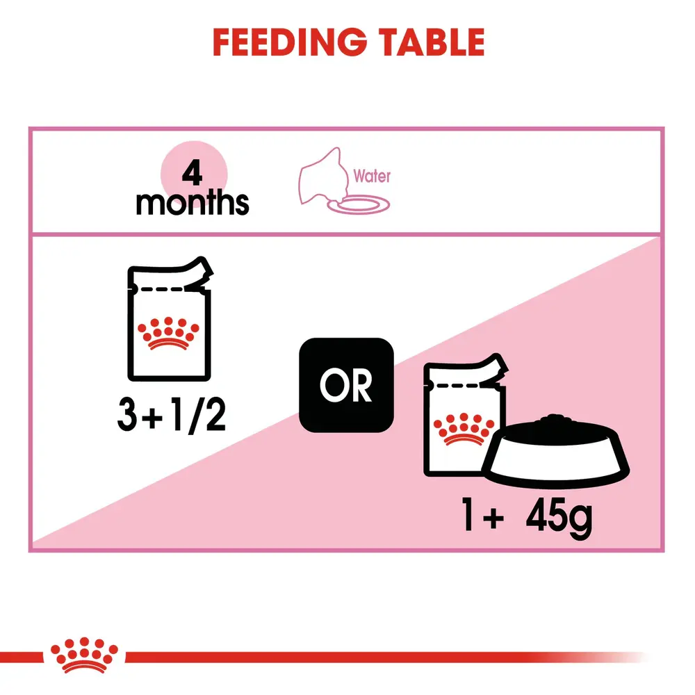 Royal Canin Kitten in Jelly wet food pouch showing thin slices in a clear, firm jelly for kittens up to 12 months. Royal Canin Kitten in Jelly wet food pouch showing thin slices in a clear, firm jelly for kittens up to 12 months.