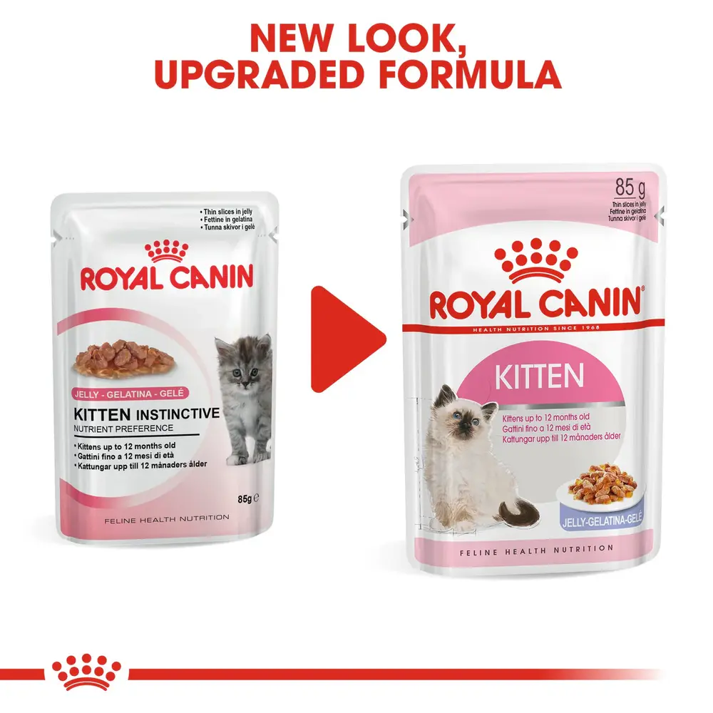 Royal Canin Kitten in Jelly wet food pouch showing thin slices in a clear, firm jelly for kittens up to 12 months. Royal Canin Kitten in Jelly wet food pouch showing thin slices in a clear, firm jelly for kittens up to 12 months.
