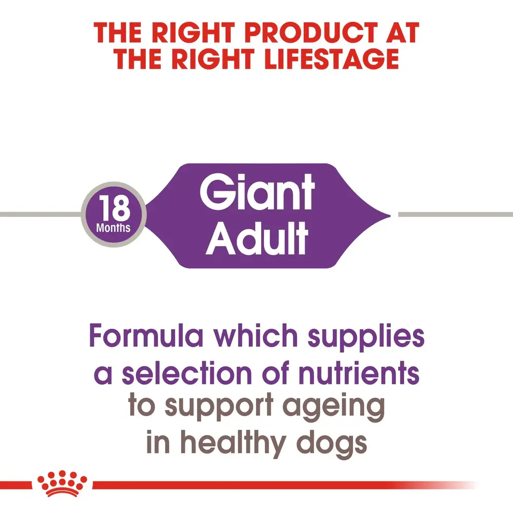 Royal Canin Giant Adult dry dog food bag featuring extra-large kibble for dogs weighing over 100 lbs. Royal Canin Giant Adult dry dog food bag featuring extra-large kibble for dogs weighing over 100 lbs.