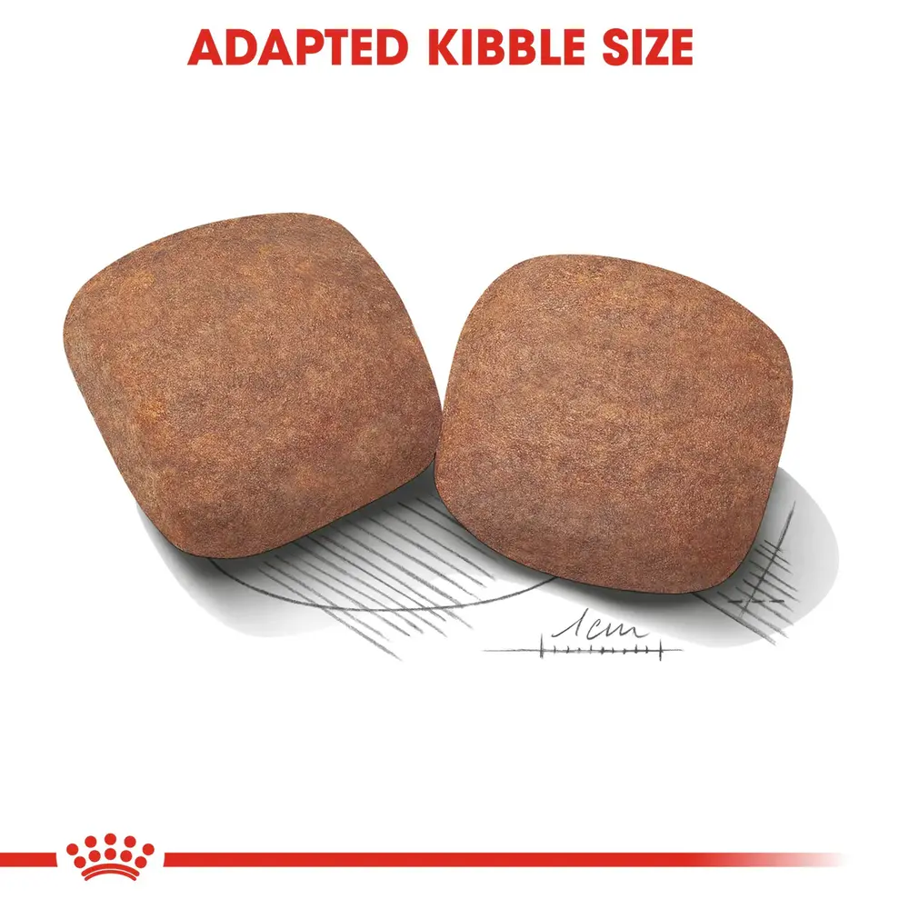 Royal Canin Giant Adult dry dog food bag featuring extra-large kibble for dogs weighing over 100 lbs. Royal Canin Giant Adult dry dog food bag featuring extra-large kibble for dogs weighing over 100 lbs.