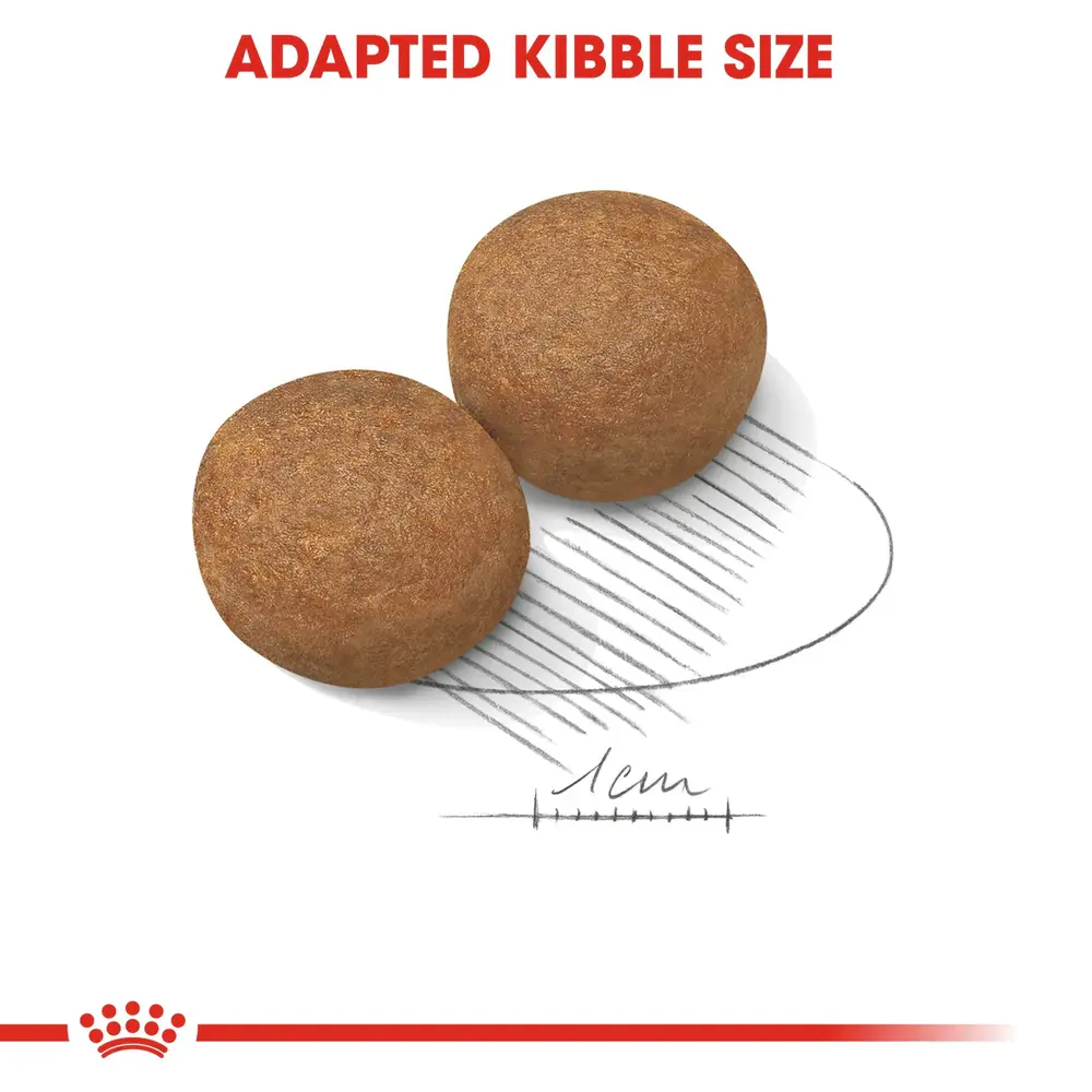 Royal Canin Maxi Adult dry dog food bag for large dogs weighing 26 to 44 kg, focusing on joint health and digestion. Royal Canin Maxi Adult dry dog food bag for large dogs weighing 26 to 44 kg, focusing on joint health and digestion.