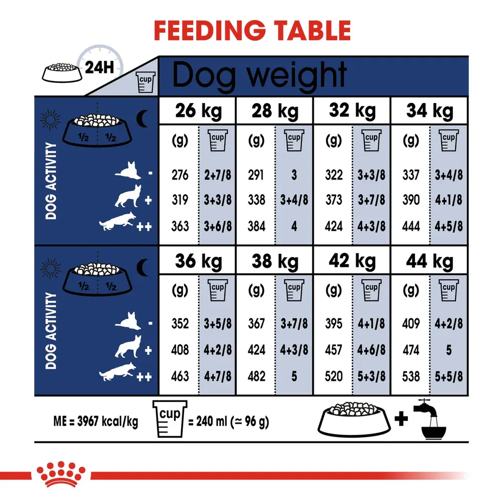 Royal Canin Maxi Adult dry dog food bag for large dogs weighing 26 to 44 kg, focusing on joint health and digestion. Royal Canin Maxi Adult dry dog food bag for large dogs weighing 26 to 44 kg, focusing on joint health and digestion.