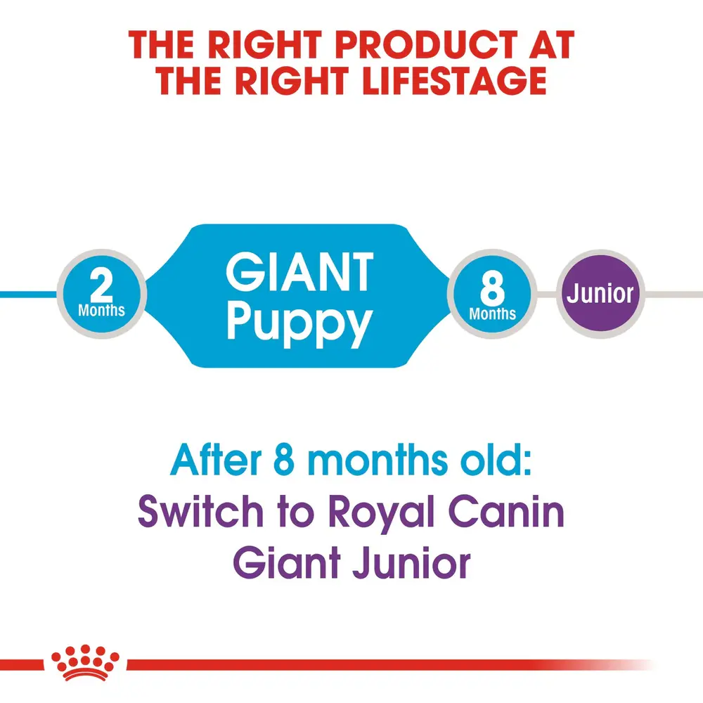 Royal Canin Giant Puppy dry dog food bag for giant breed puppies up to 8 months old, focusing on bone health and immune support. Royal Canin Giant Puppy dry dog food bag for giant breed puppies up to 8 months old, focusing on bone health and immune support.