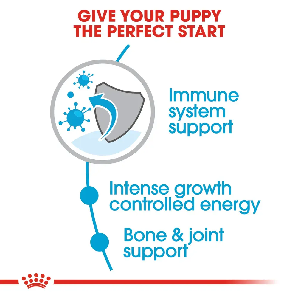 Royal Canin Giant Puppy dry dog food bag for giant breed puppies up to 8 months old, focusing on bone health and immune support. Royal Canin Giant Puppy dry dog food bag for giant breed puppies up to 8 months old, focusing on bone health and immune support.