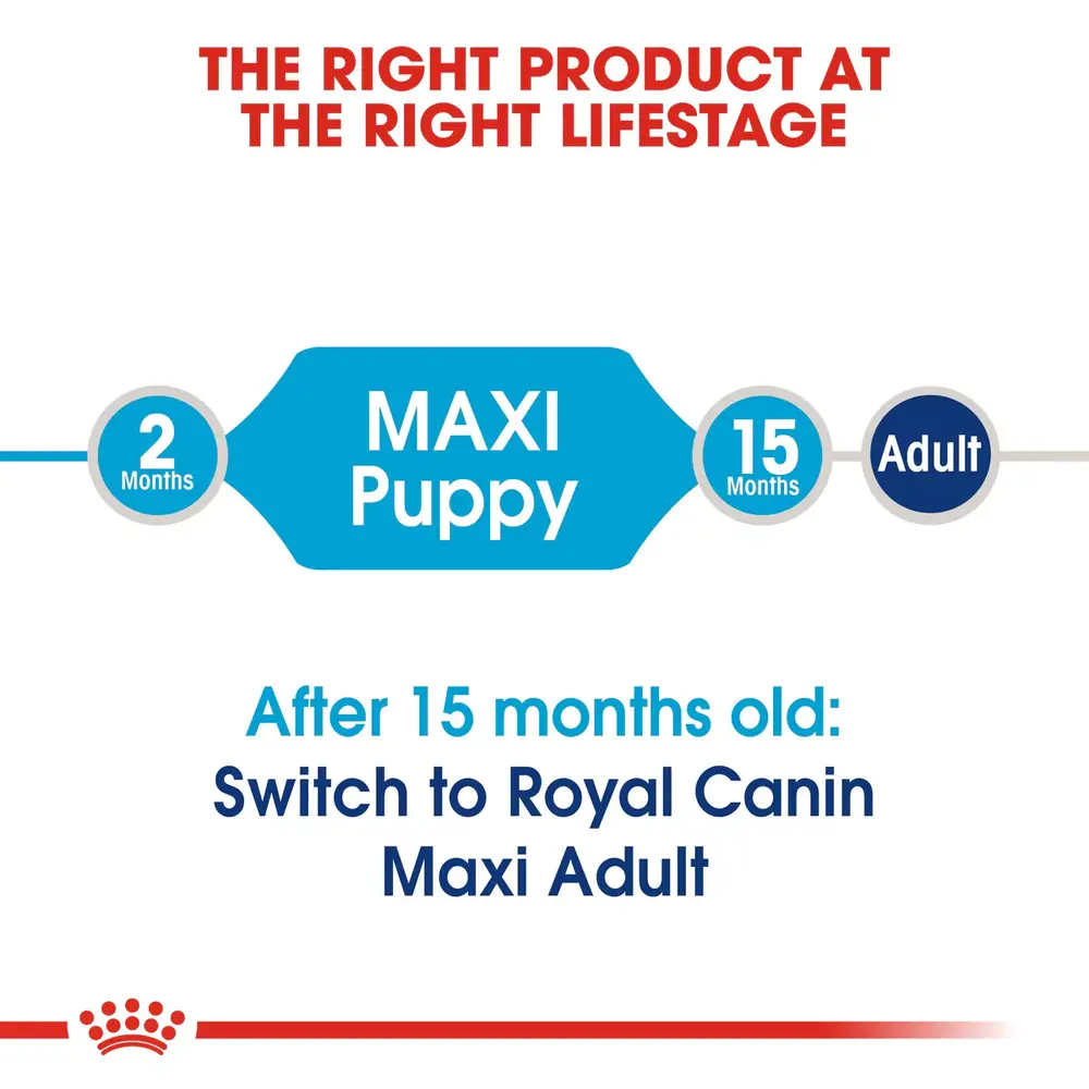 Royal Canin Maxi Puppy dry dog food bag for large breed puppies up to 15 months old, focusing on digestive health and bone development. Royal Canin Maxi Puppy dry dog food bag for large breed puppies up to 15 months old, focusing on digestive health and bone development.