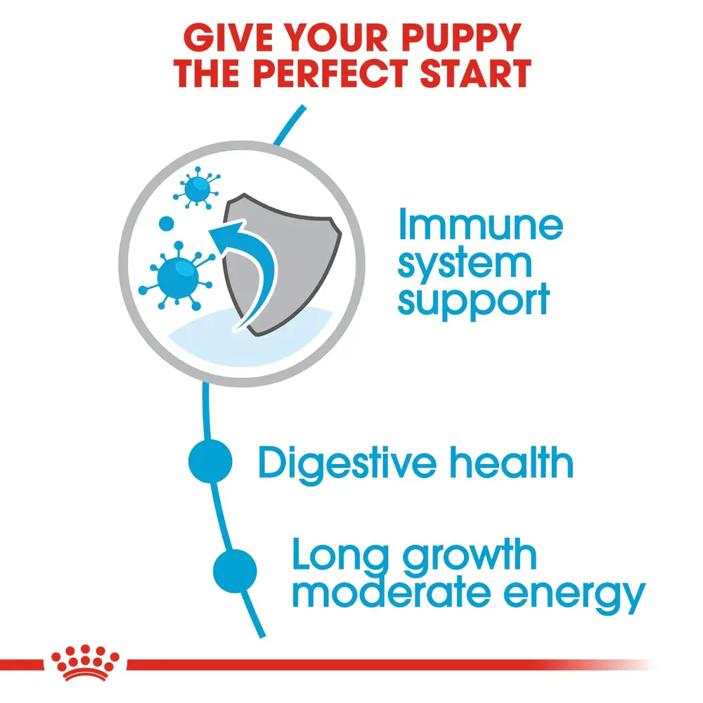 Royal Canin Maxi Puppy dry dog food bag for large breed puppies up to 15 months old, focusing on digestive health and bone development. Royal Canin Maxi Puppy dry dog food bag for large breed puppies up to 15 months old, focusing on digestive health and bone development.