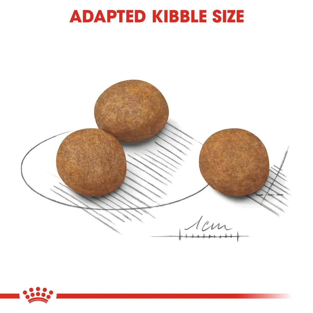 Royal Canin Maxi Puppy dry dog food bag for large breed puppies up to 15 months old, focusing on digestive health and bone development. Royal Canin Maxi Puppy dry dog food bag for large breed puppies up to 15 months old, focusing on digestive health and bone development.