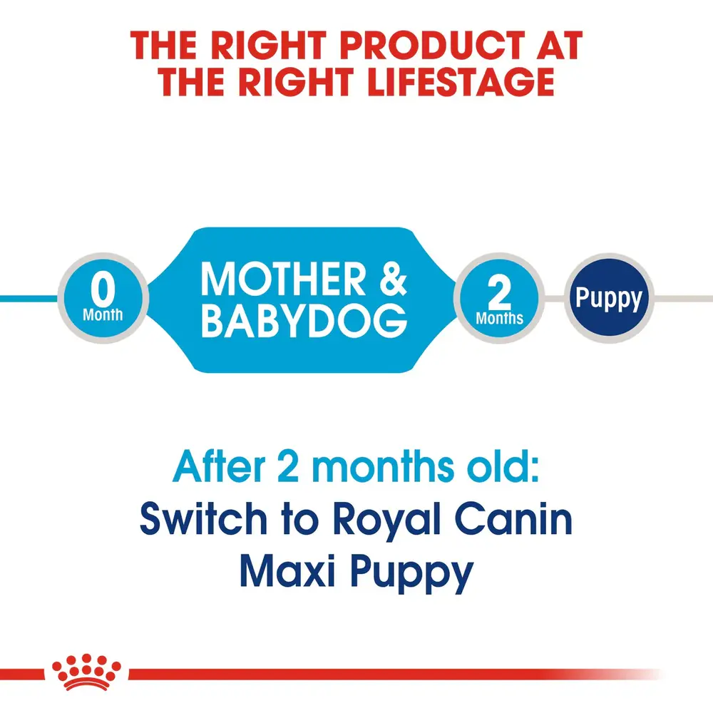 Royal Canin Maxi Starter Mother & Babydog dry dog food bag for large breed dogs, showing rehydratable kibble for puppies up to 2 months. Royal Canin Maxi Starter Mother & Babydog dry dog food bag for large breed dogs, showing rehydratable kibble for puppies up to 2 months.