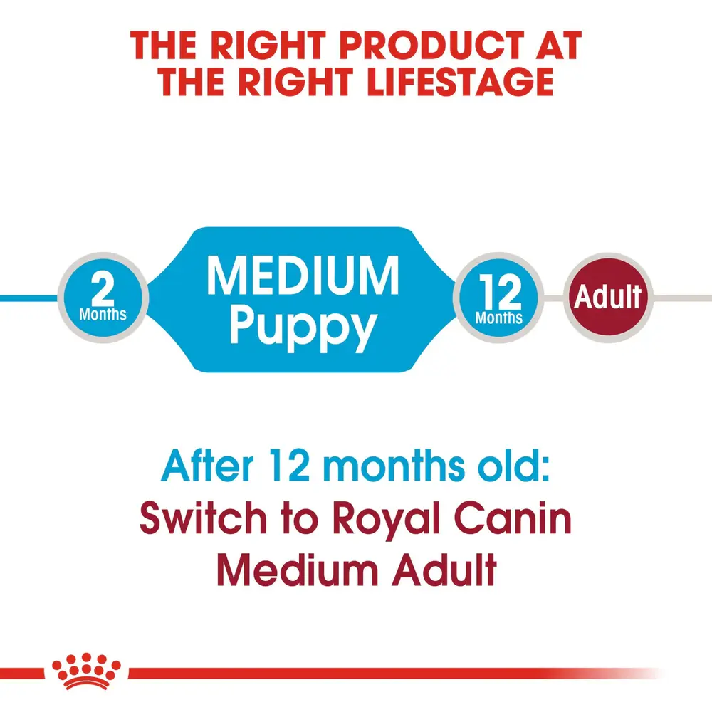 Royal Canin Medium Puppy dry dog food bag for puppies up to 12 months with an adult weight of 23-55 lbs, highlighting brain and immune support. Royal Canin Medium Puppy dry dog food bag for puppies up to 12 months with an adult weight of 23-55 lbs, highlighting brain and immune support.