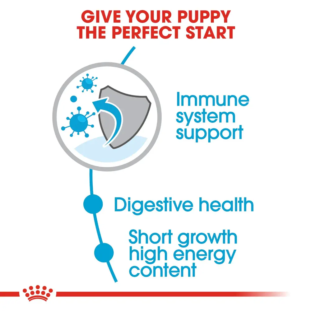Royal Canin Medium Puppy dry dog food bag for puppies up to 12 months with an adult weight of 23-55 lbs, highlighting brain and immune support. Royal Canin Medium Puppy dry dog food bag for puppies up to 12 months with an adult weight of 23-55 lbs, highlighting brain and immune support.