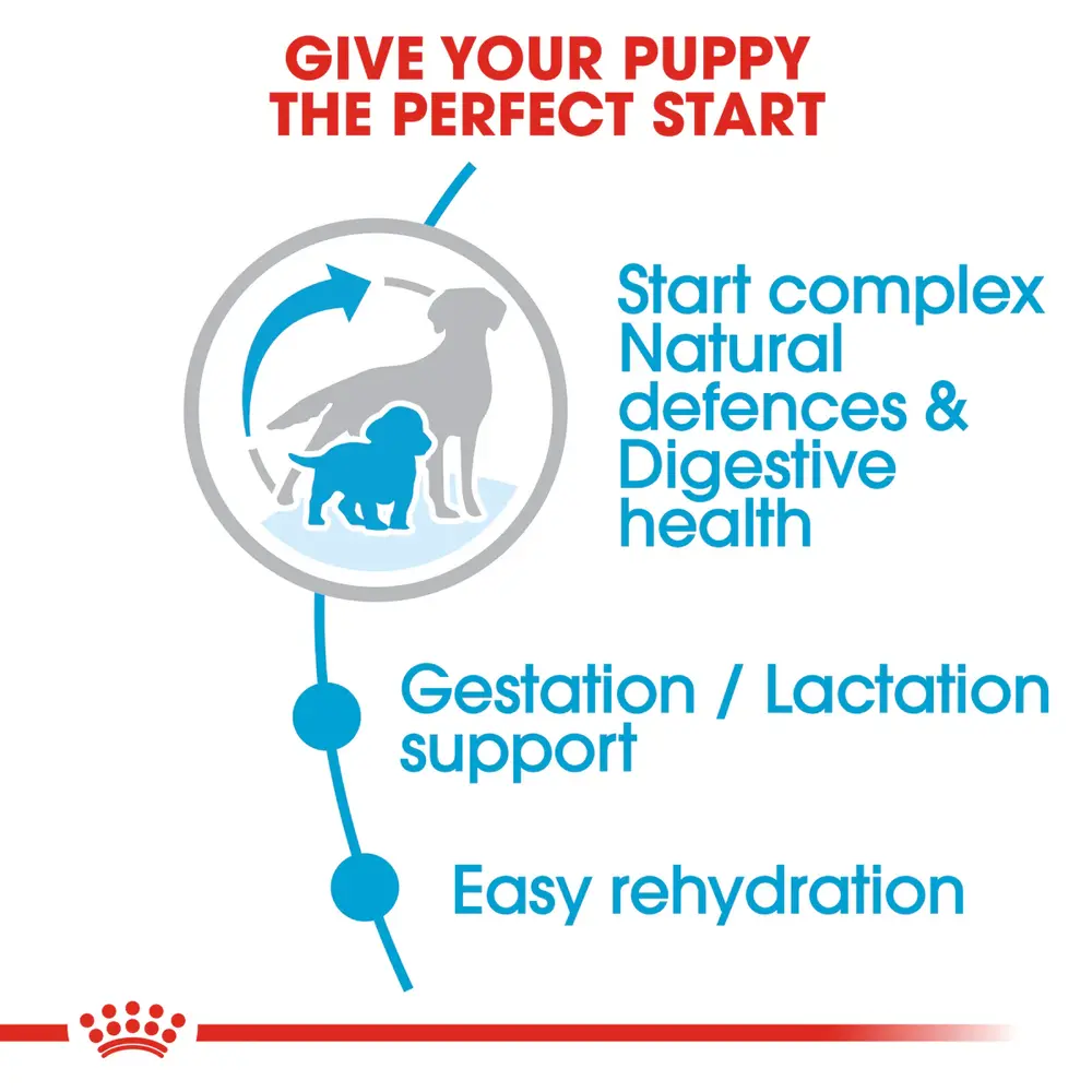 Royal Canin Professional Medium Starter Mother & Babydog dry dog food for medium breed pregnant mothers and weaning puppies. Royal Canin Professional Medium Starter Mother & Babydog dry dog food for medium breed pregnant mothers and weaning puppies.