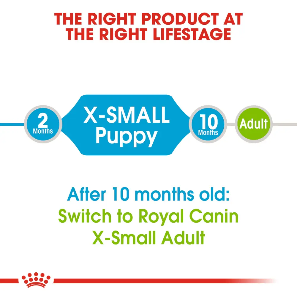 Royal Canin X-Small Puppy dry dog food bag for extra-small breed puppies up to 10 months old, showing tiny kibble for toy breeds. Royal Canin X-Small Puppy dry dog food bag for extra-small breed puppies up to 10 months old, showing tiny kibble for toy breeds.